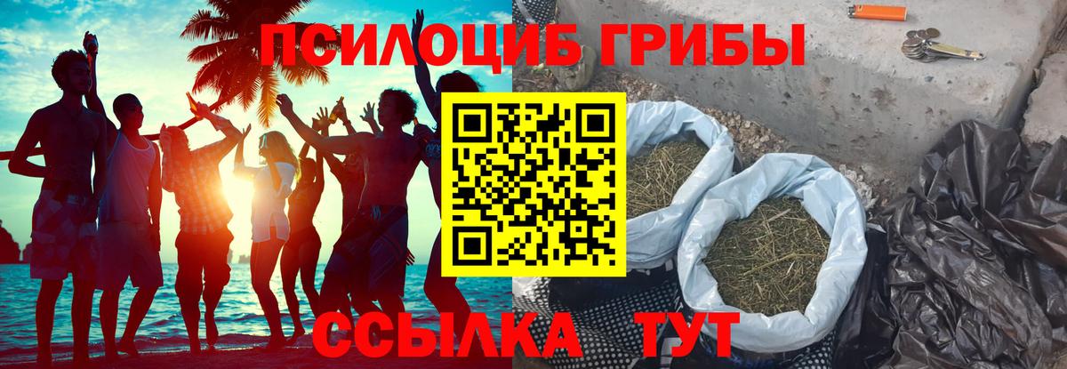Псилоцибиновые грибы GOLDEN TEACHER  Вход с VPN  Нерюнгри  Псилоцибиновые грибы мицелий 