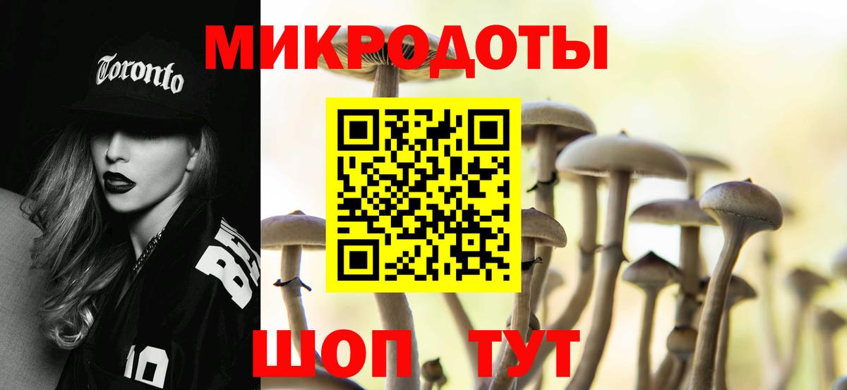 Галлюциногенные грибы мухоморы Нерюнгри